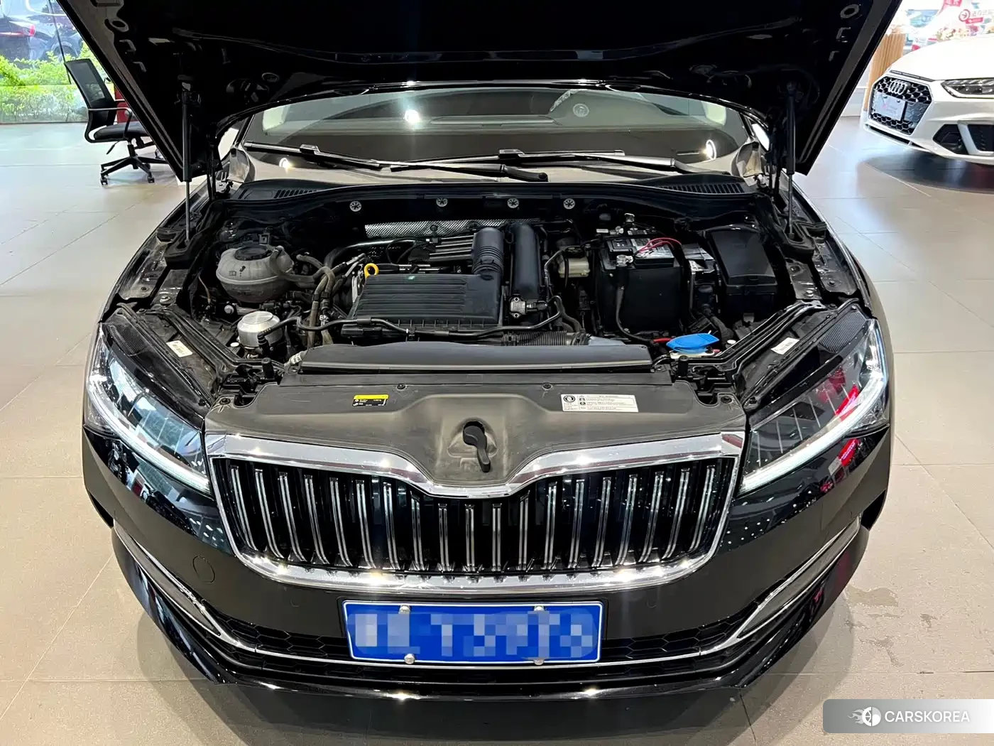 Skoda Speed pie id 4547315 из Китая 9
