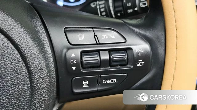 Kia The New Carnival id 4781163 из Кореи 9