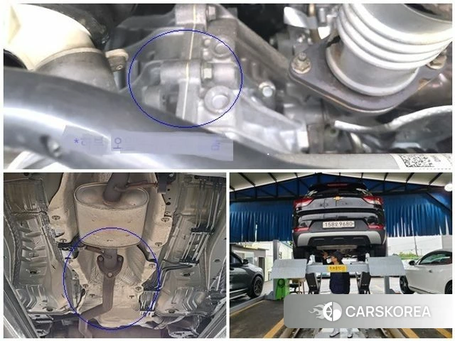 Chevrolet (GM Daewoo) Trailblazer id 4367184 из Кореи 9