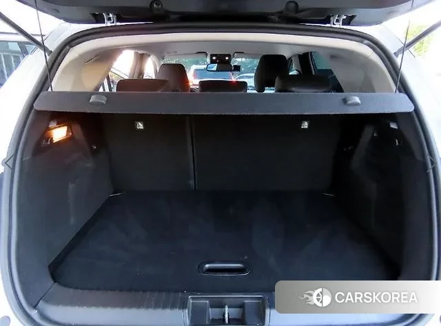 Renault Korea (Samsung) Capture id 3443977 из Кореи 9