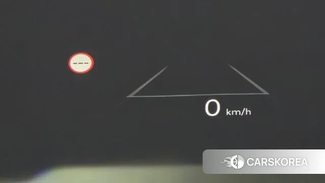 Hyundai Santa Fe (MX5) id 3721013 из Кореи 9