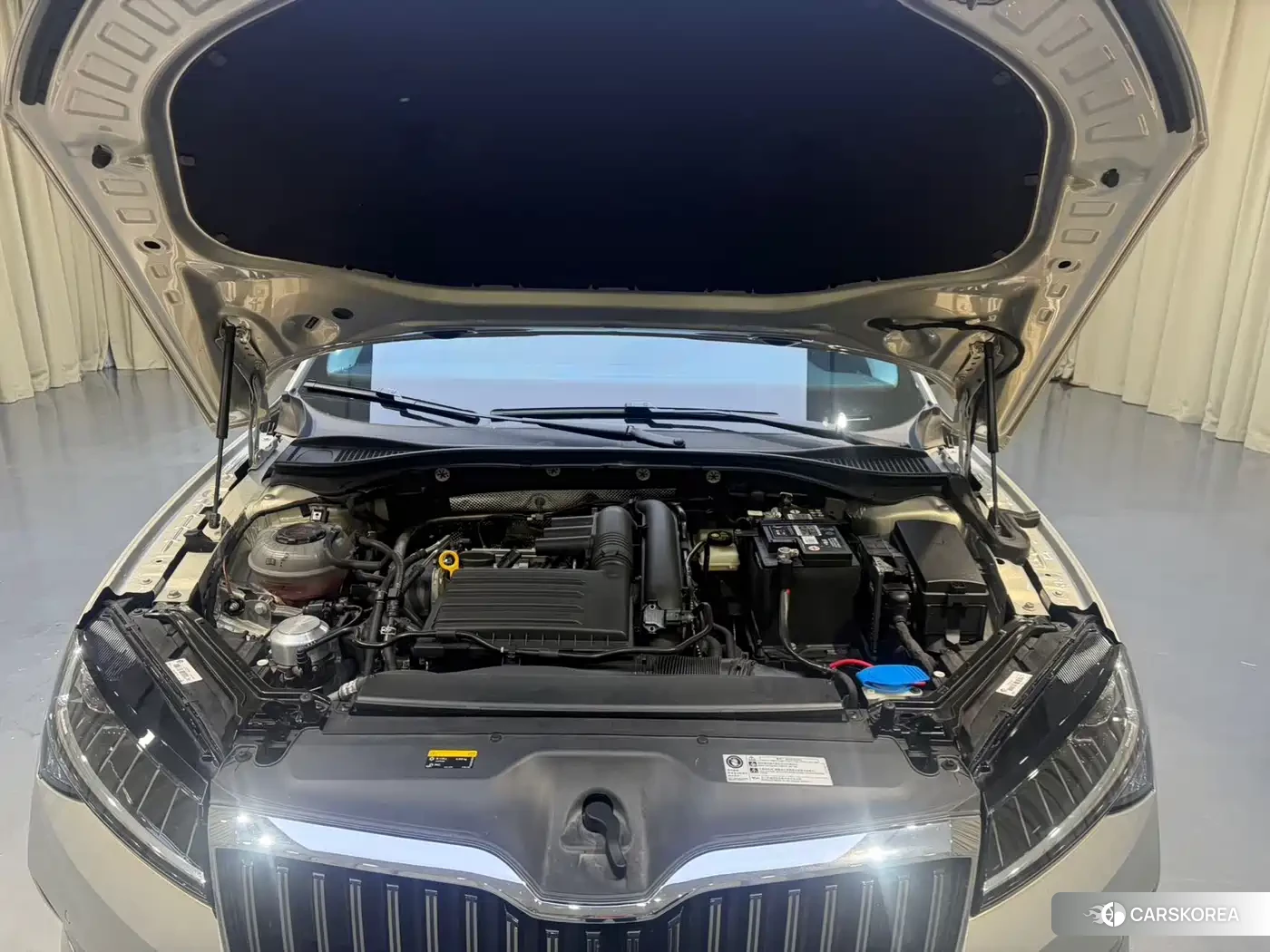 Skoda Speed pie id 4553739 из Китая 9