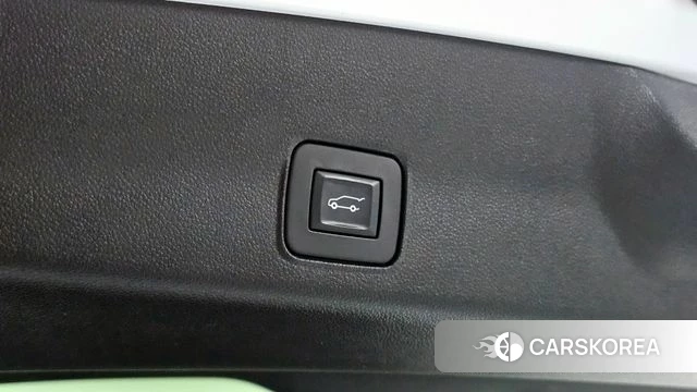 Chevrolet (GM Daewoo) Trailblazer id 4446061 из Кореи 9