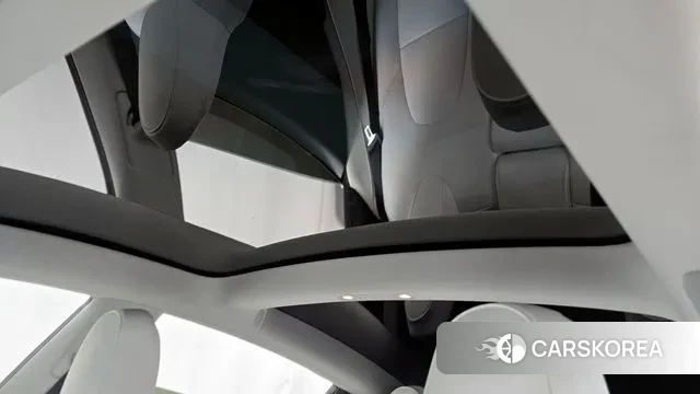 Tesla Model 3 id 3111643 из Кореи 9