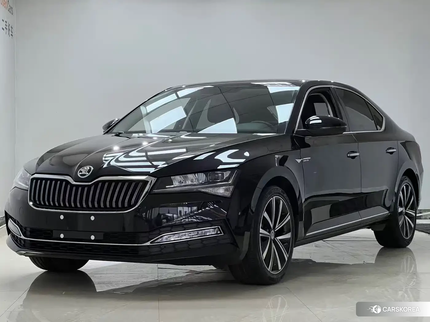 Skoda Speed pie id 4548085 из Китая 9