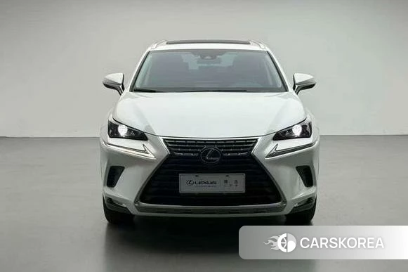 Lexus NX id 4298286 из Китая 9