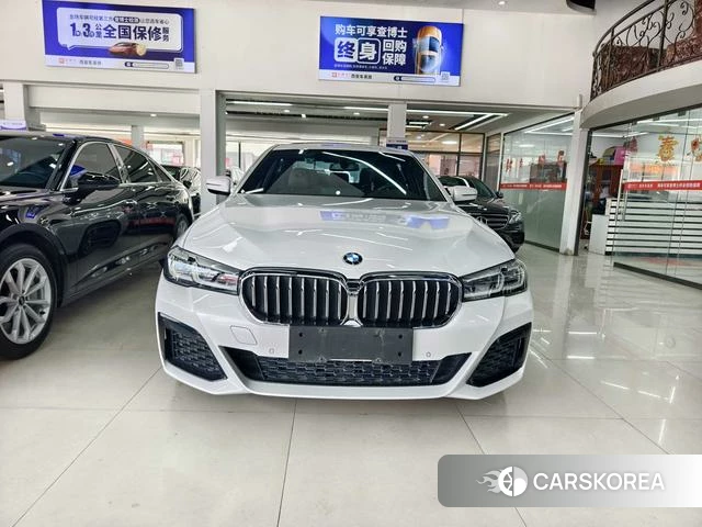 BMW 5 series PHEV id 4261202 из Китая 9