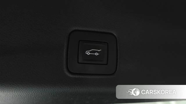 Chevrolet (GM Daewoo) Trailblazer id 4936482 из Кореи 9