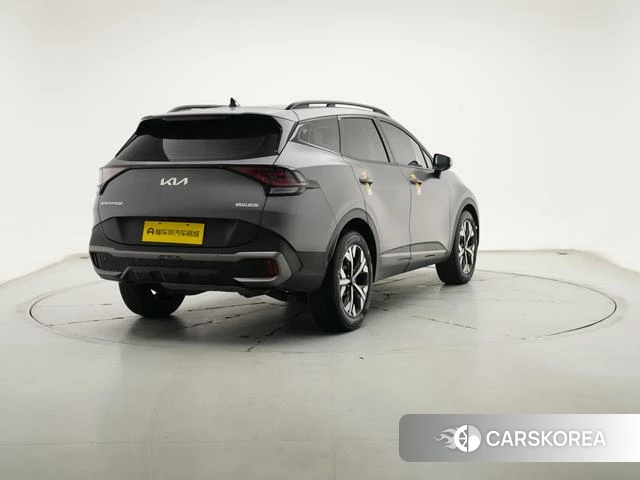 Kia Lion Platinum expands the world id 4259377 из Китая 9