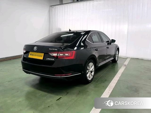 Skoda Speed pie id 4211522 из Китая 9