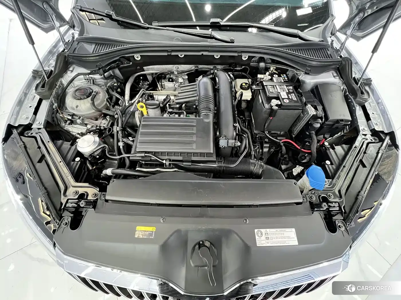 Skoda Speed pie id 4538812 из Китая 9