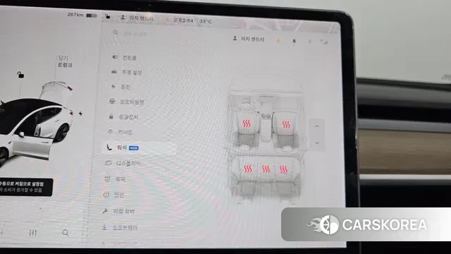 Tesla Model 3 id 3028093 из Кореи 9