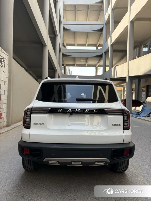 Haval Big dog id 4213480 из Китая 9