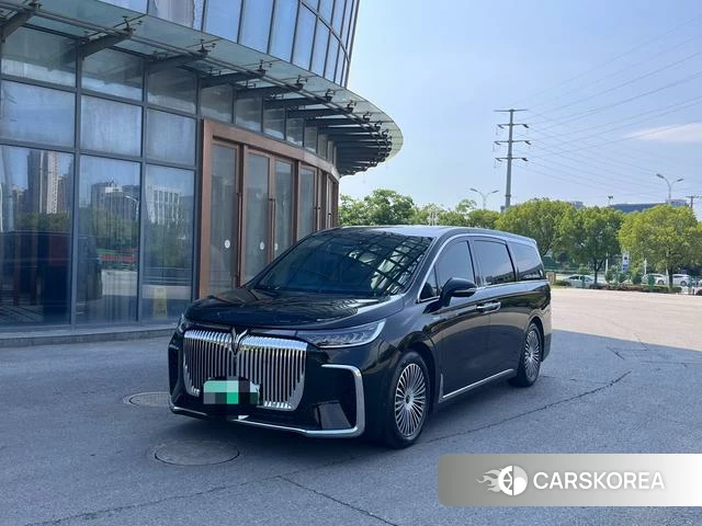 Lan Tu Dreamer PHEV id 4241522 из Китая 9