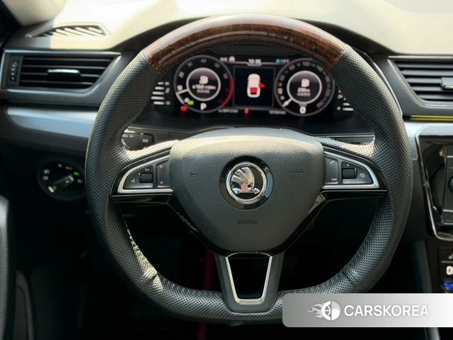 Skoda Speed pie id 4207761 из Китая 9