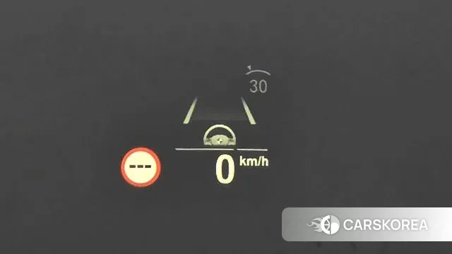 BMW X4 (G02) id 2979135 из Кореи 9