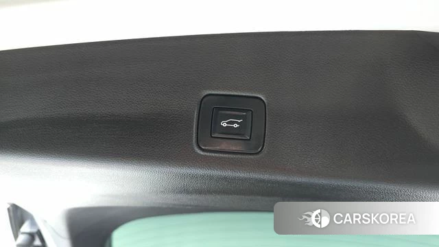 Chevrolet (GM Daewoo) Trailblazer id 4445238 из Кореи 9