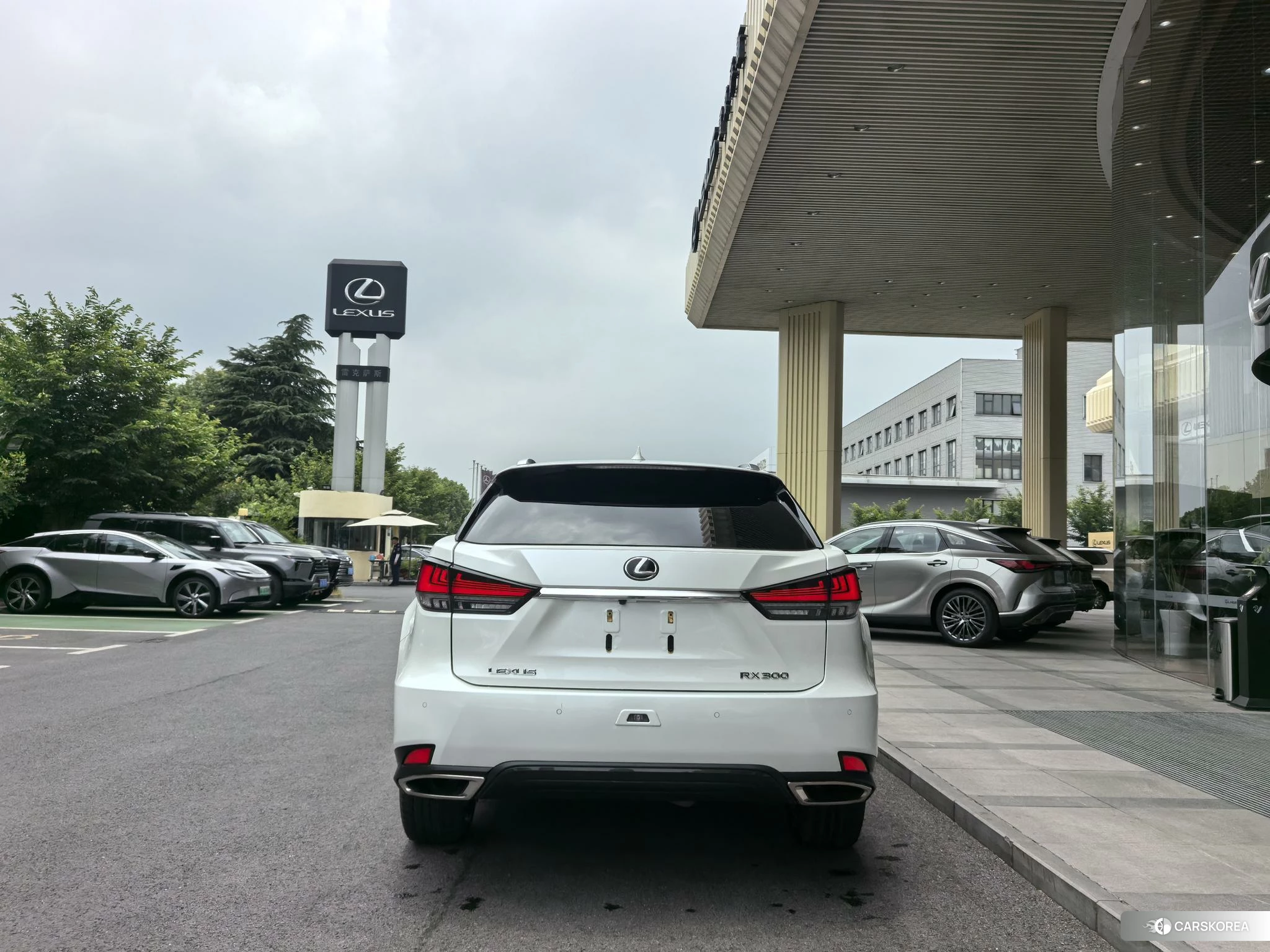 Lexus RX id 4461975 из Китая 9
