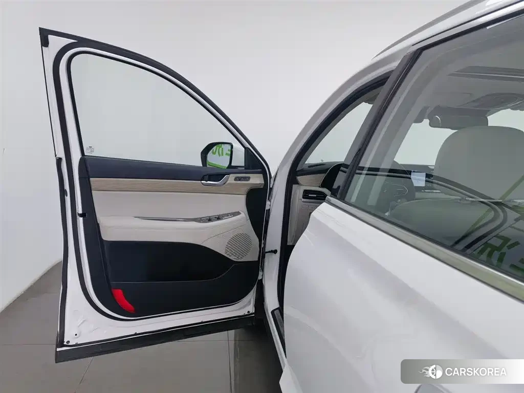 Hyundai Paristi id 4565332 из Китая 9