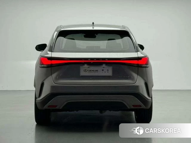 Lexus RX id 4264508 из Китая 9