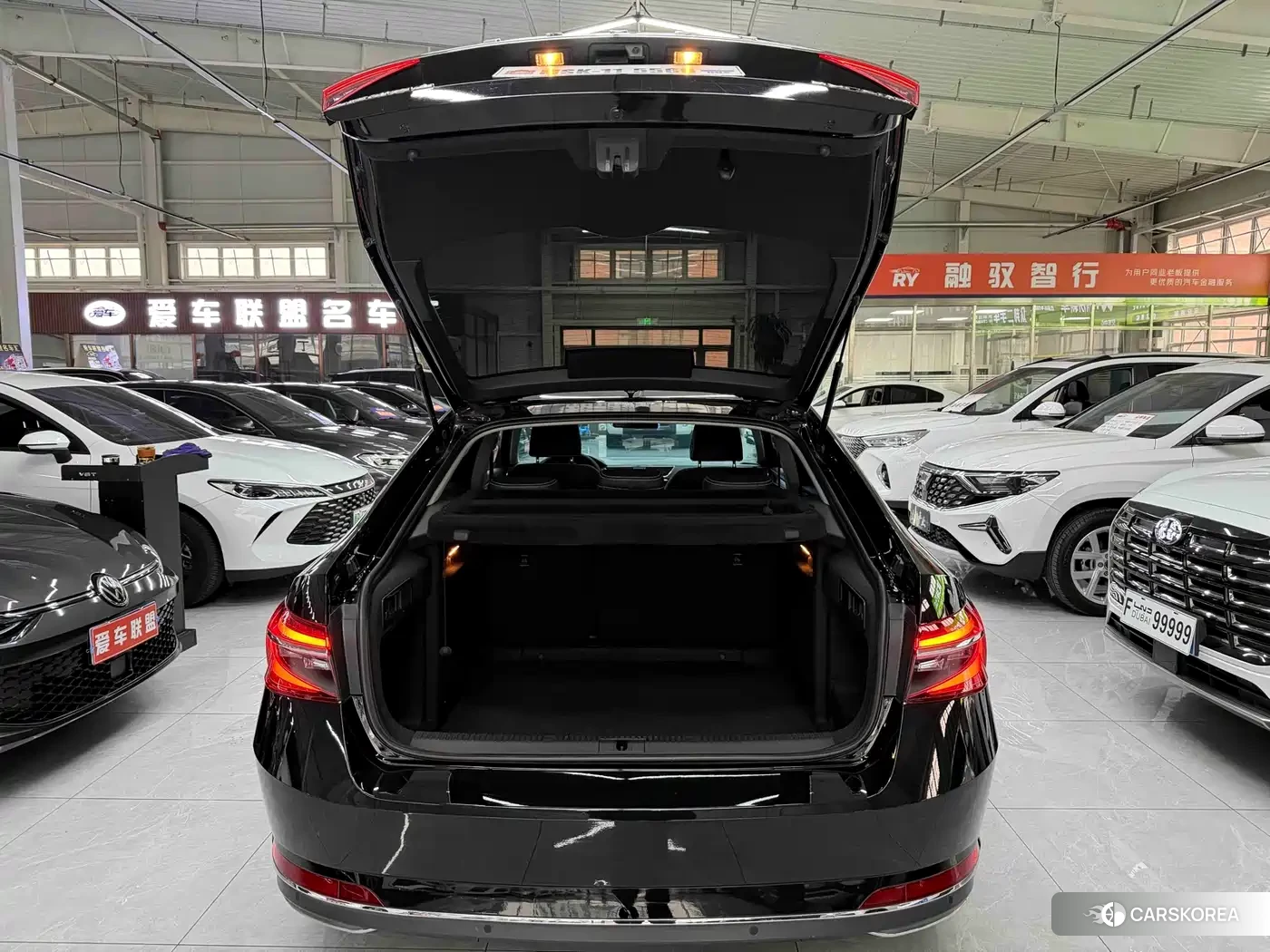 Skoda Speed pie id 4570368 из Китая 9