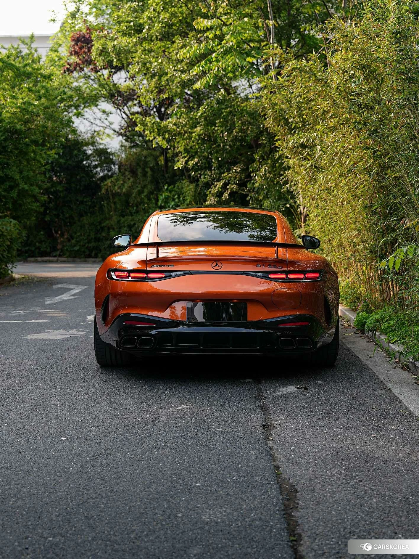 Mercedes-Benz AMG GT PHEV id 4454204 из Китая 9