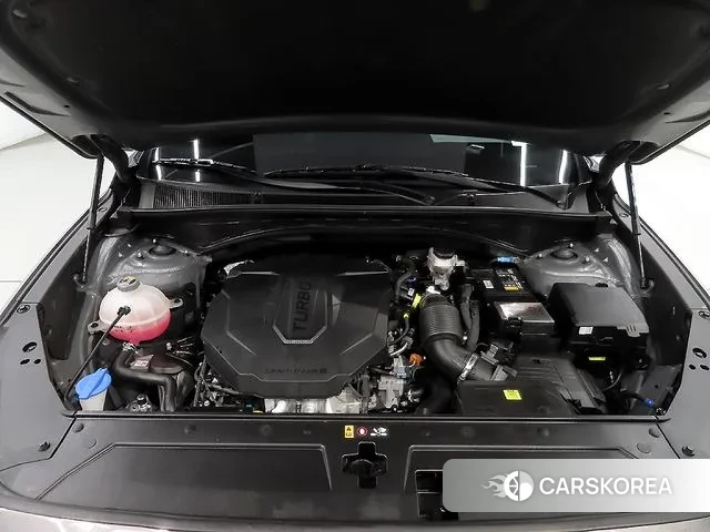 Hyundai The New Santa Fe id 3586500 из Кореи 9