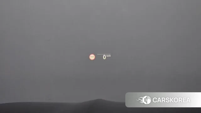 BMW X4 (G02) id 3431319 из Кореи 9