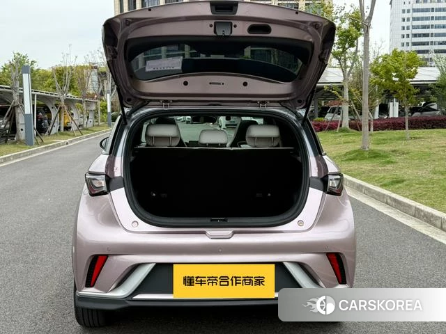 BYD dolphin id 4211195 из Китая 9