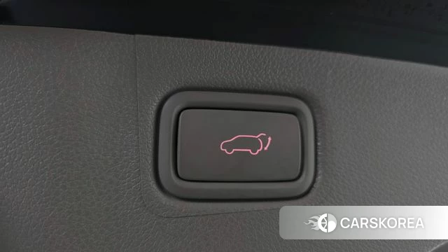 Kia The New Carnival id 4188112 из Кореи 9