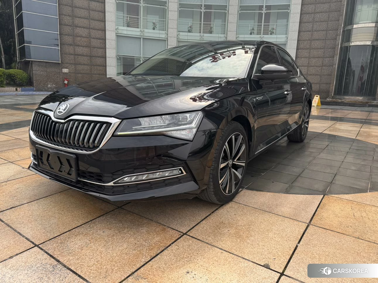 Skoda Speed pie id 4461990 из Китая 9