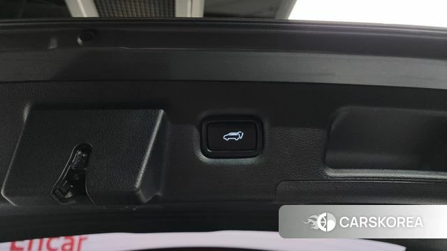 Hyundai Santa Fe TM id 4520054 из Кореи 9