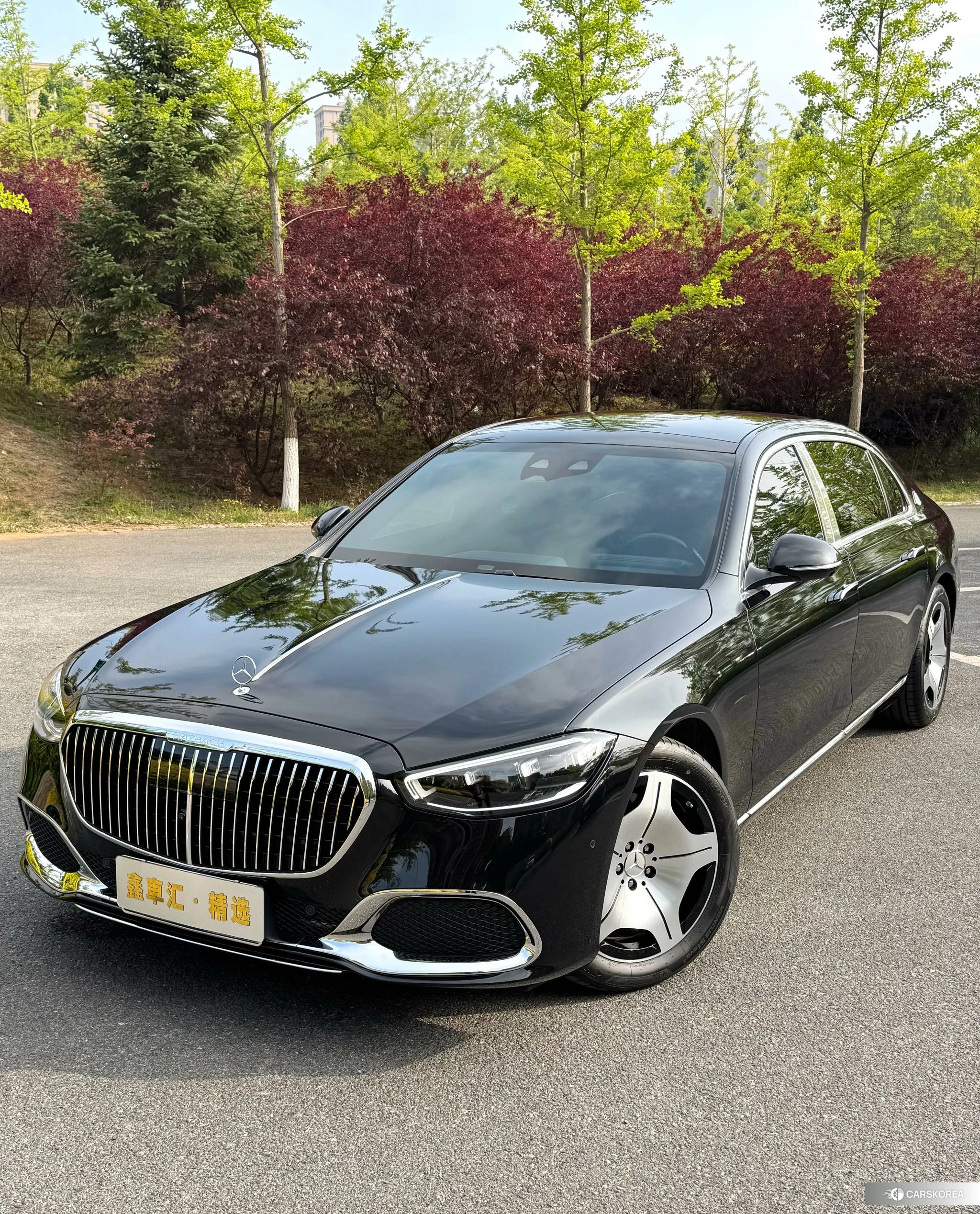 Mercedes-Benz Maybach S-class id 4454650 из Китая 9