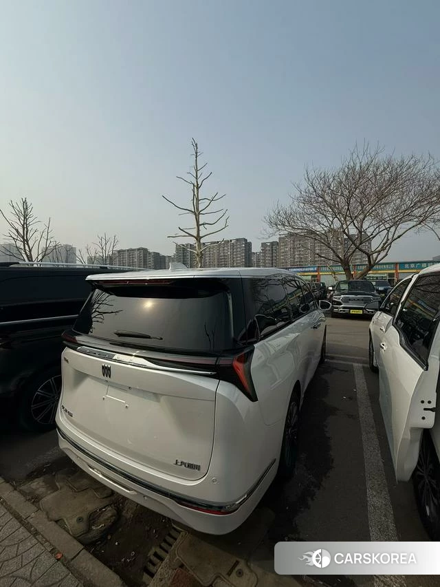 Buick GL8 id 3945099 из Китая 9