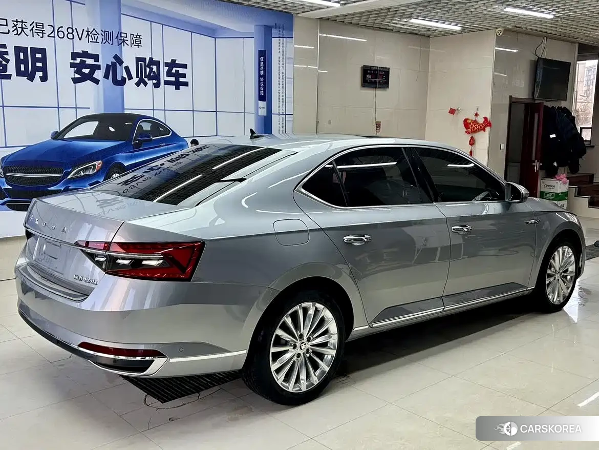 Skoda Speed pie id 4577624 из Китая 9