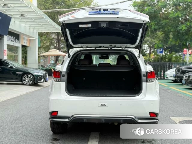 Lexus RX id 4291510 из Китая 9