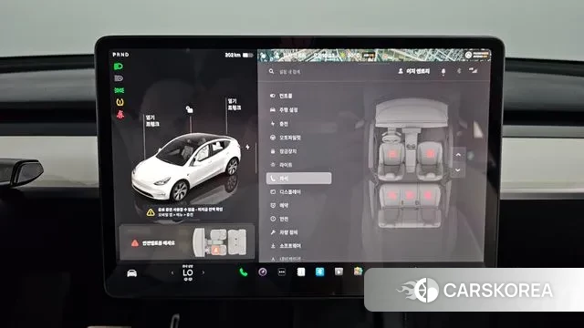 Tesla Model Y id 2905145 из Кореи 9