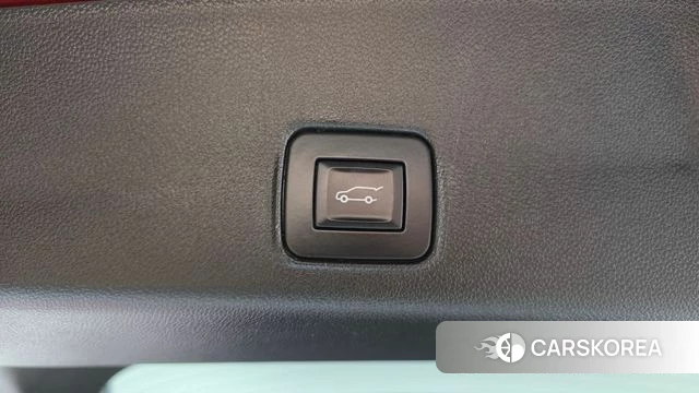 Chevrolet (GM Daewoo) Trailblazer id 4834981 из Кореи 9