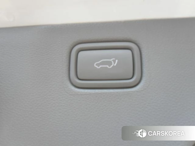 Kia The New Carnival id 4694147 из Кореи 9
