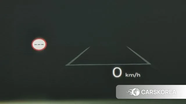 Hyundai Santa Fe (MX5) id 3002225 из Кореи 9