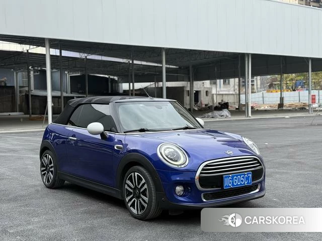 MINI MINI id 4216361 из Китая 9