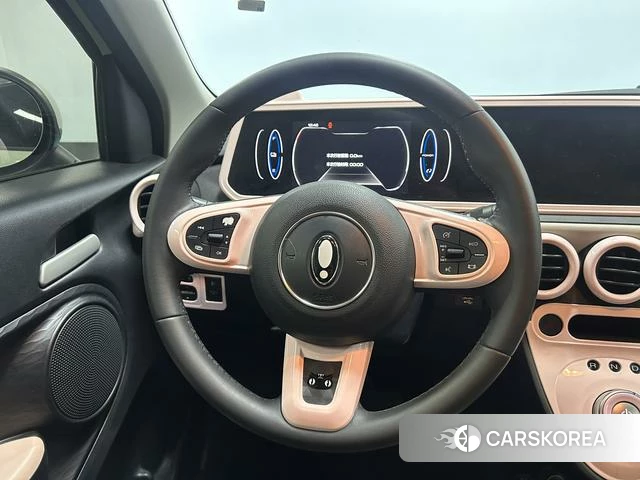 Euler Black cat id 4220683 из Китая 9