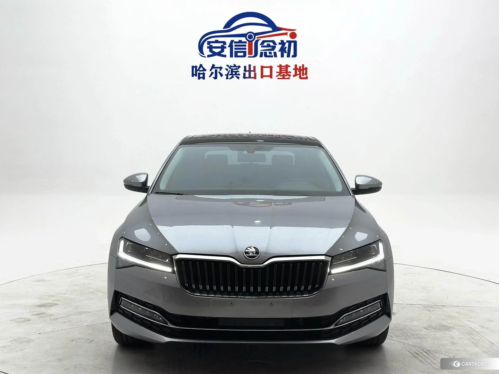 Skoda Speed pie id 4510555 из Китая 9