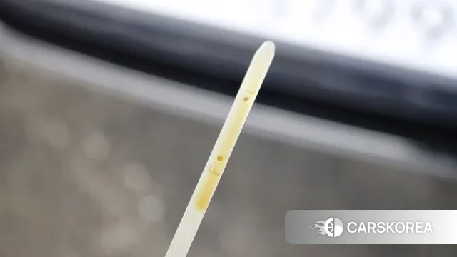 Kia K5 Hybrid 3rd Generation id 3588008 из Кореи 9