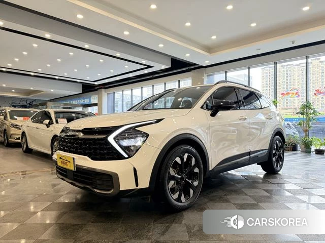 Kia Lion Platinum expands the world id 4297723 из Китая 9
