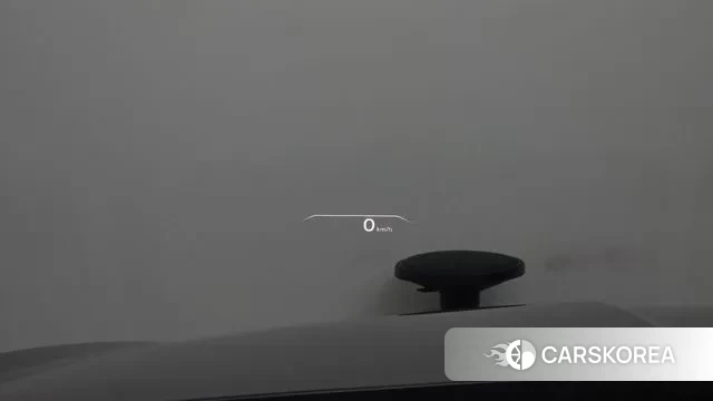 Genesis G80 (RG3) id 3428037 из Кореи 9