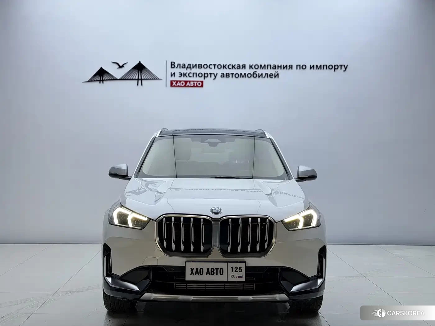 BMW X1 id 4644525 из Китая 9