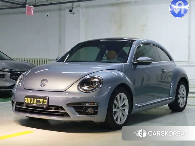 Volkswagen Beetle id 4207906 из Китая 9