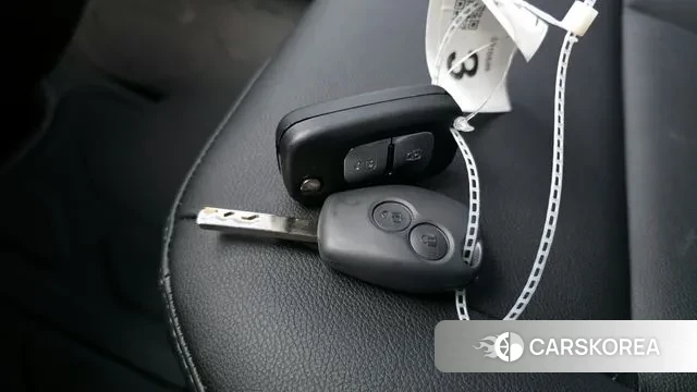 Renault Korea (Samsung) Master id 3462116 из Кореи 10