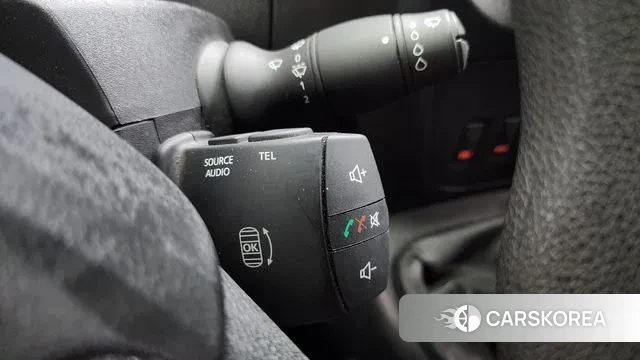 Renault Korea (Samsung) Master id 3129174 из Кореи 10